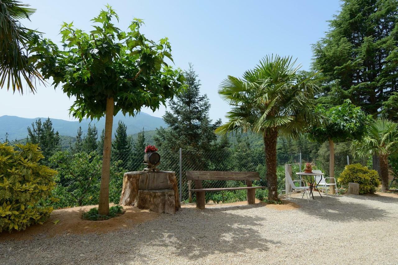 Con Jardín, Barbacoa, Piscina En Pleno Montseny Casa rural *