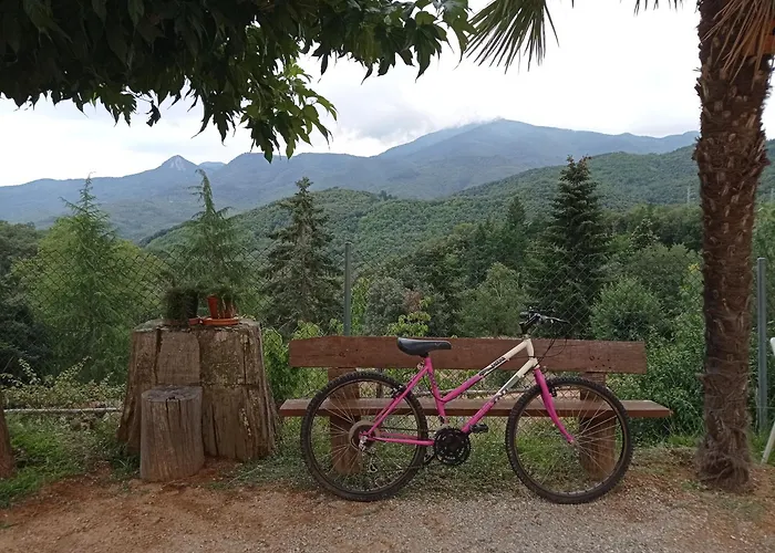 Apartamento Con Jardin, Barbacoa Y Piscina En Pleno Montseny Mas Romeu Turisme Rural