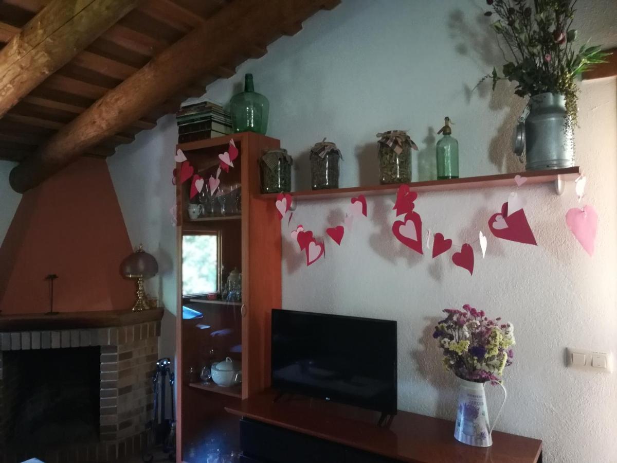 Con Jardin, Barbacoa Y Piscina En Pleno Montseny Mas Romeu Turisme Rural Country house Arbucies