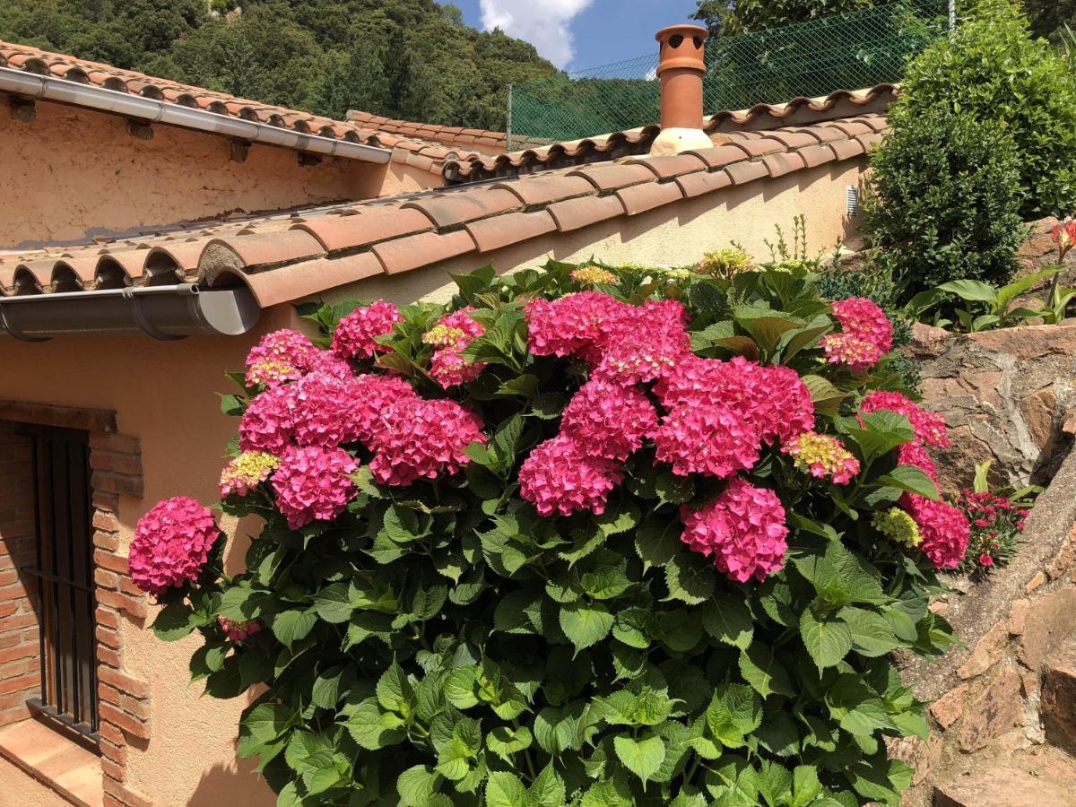 Con Jardin, Barbacoa Y Piscina En Pleno Montseny Mas Romeu Turisme Rural Country house Arbucies