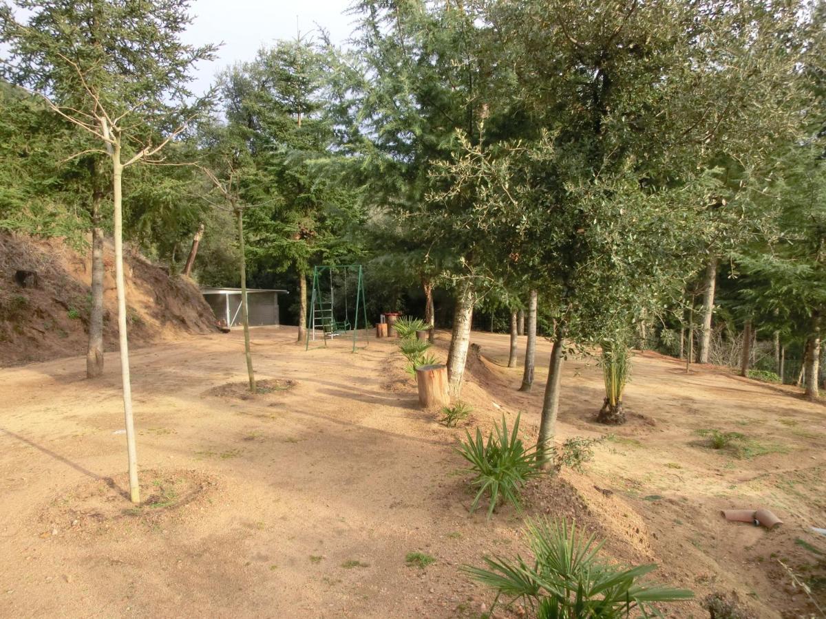 Con Jardin, Barbacoa Y Piscina En Pleno Montseny Mas Romeu Turisme Rural *
