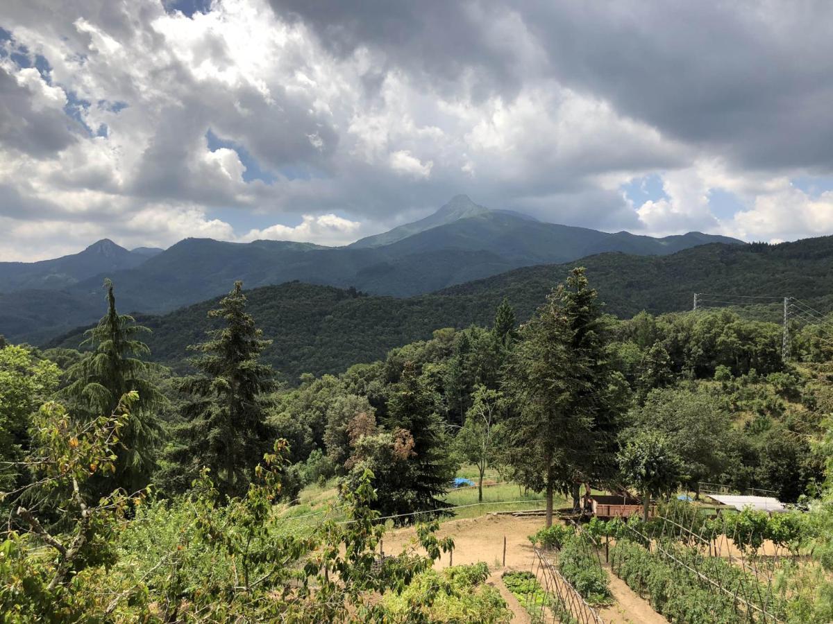 Con Jardin, Barbacoa Y Piscina En Pleno Montseny Mas Romeu Turisme Rural *