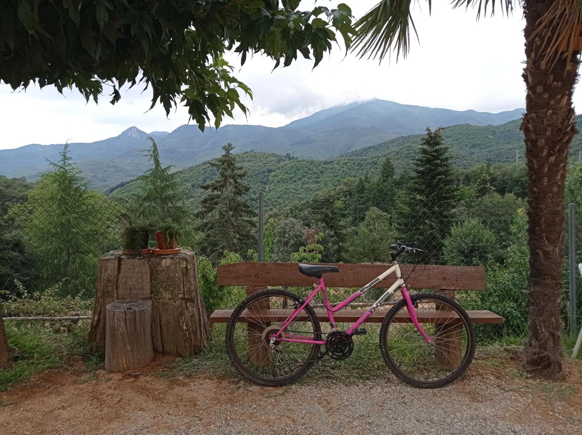 Con Jardin, Barbacoa Y Piscina En Pleno Montseny Mas Romeu Turisme Rural * Arbucies