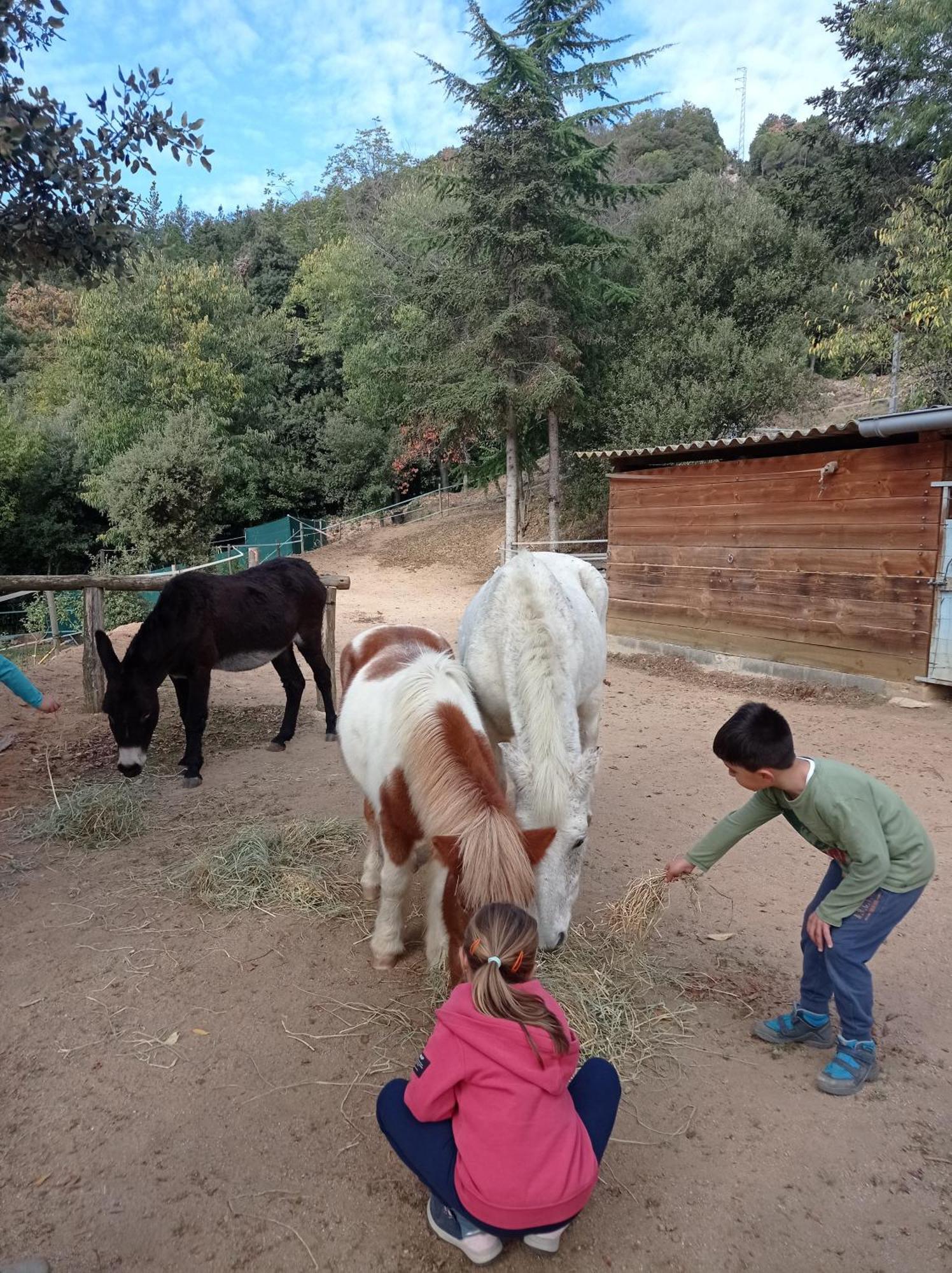 Country house Con Jardin, Barbacoa Y Piscina En Pleno Montseny Mas Romeu Turisme Rural *
