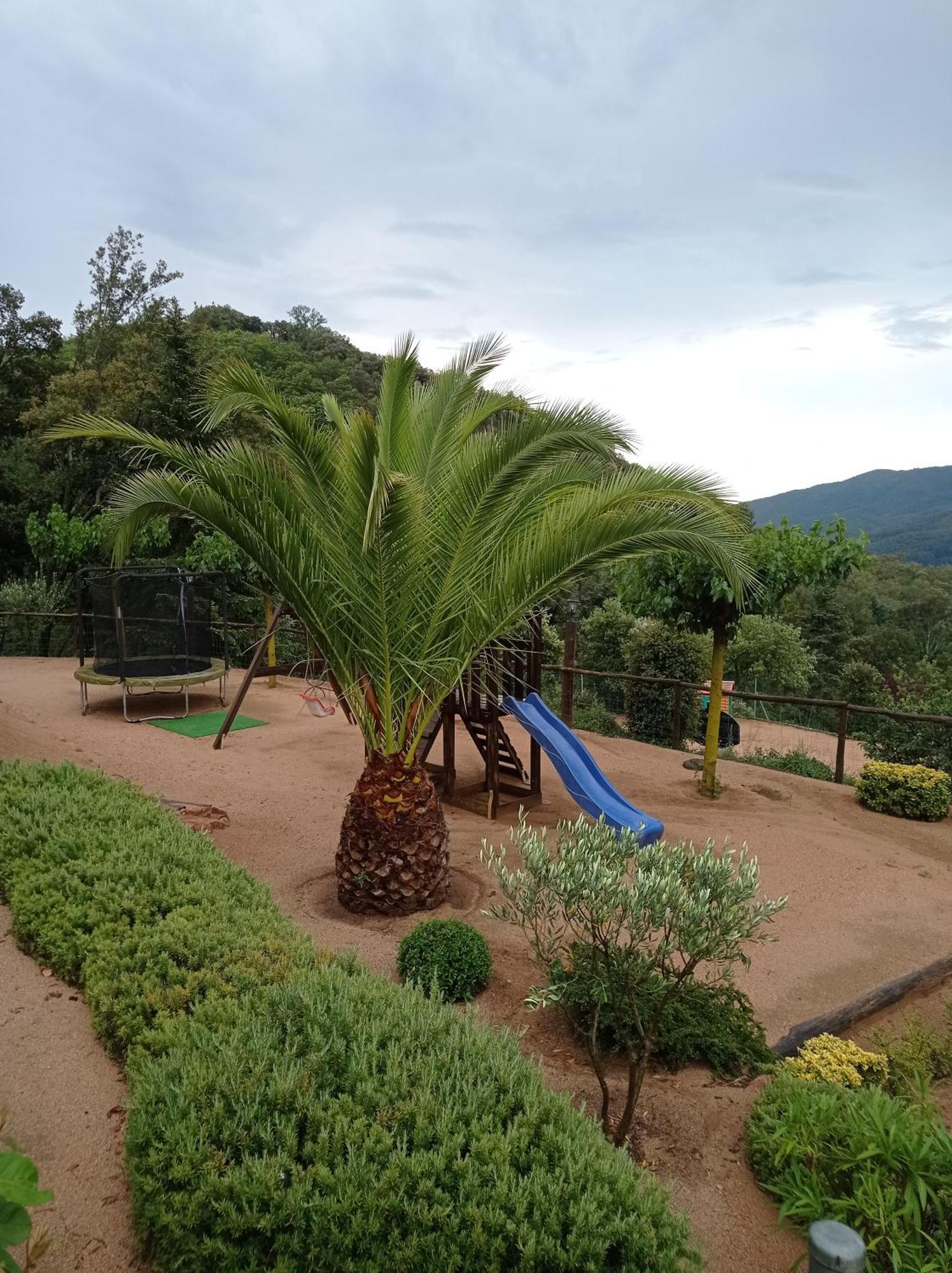 Con Jardin, Barbacoa Y Piscina En Pleno Montseny Mas Romeu Turisme Rural Country house
