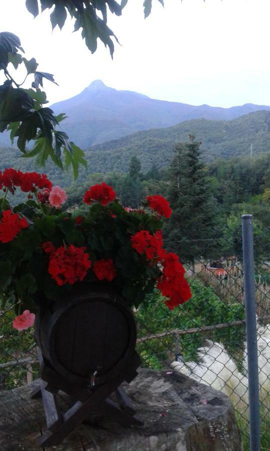Con Jardin, Barbacoa Y Piscina En Pleno Montseny Mas Romeu Turisme Rural Country house Arbucies