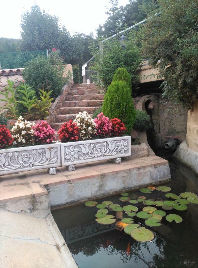 Con Jardin, Barbacoa Y Piscina En Pleno Montseny Mas Romeu Turisme Rural *