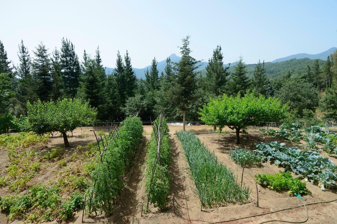 Country house Con Jardin, Barbacoa Y Piscina En Pleno Montseny Mas Romeu Turisme Rural Arbucies