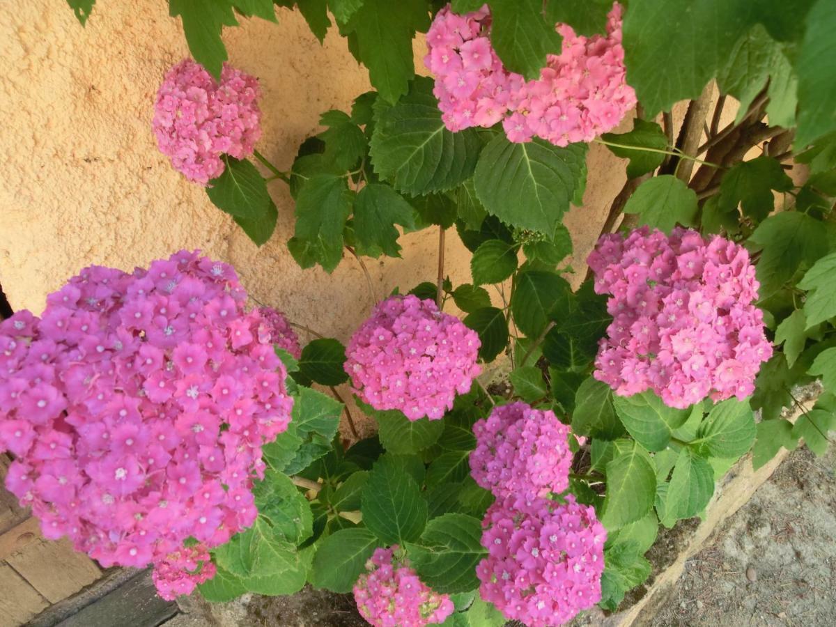 Con Jardin, Barbacoa Y Piscina En Pleno Montseny Mas Romeu Turisme Rural Country house