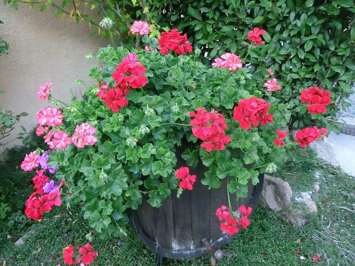 Con Jardin, Barbacoa Y Piscina En Pleno Montseny Mas Romeu Turisme Rural *